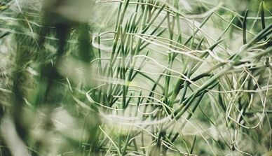 როგორ გააკეთოთ იღბლიანი ამულეტი საკუთარი ხელით